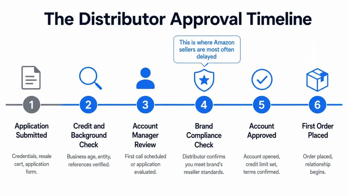 Horizontal timeline infographic showing the six stages of the wholesale distributor approval process for Amazon sellers from application to first order
